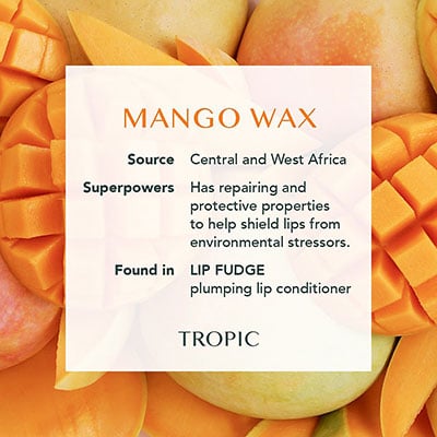 Mango Wax Antioxidant ingredients