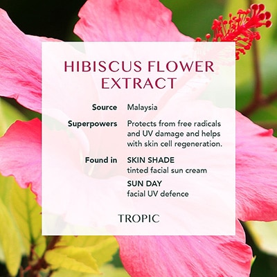 Hibiscus flower natural ingredients
