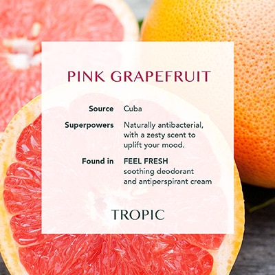 Grapefruit natural exfoliant ingerdients